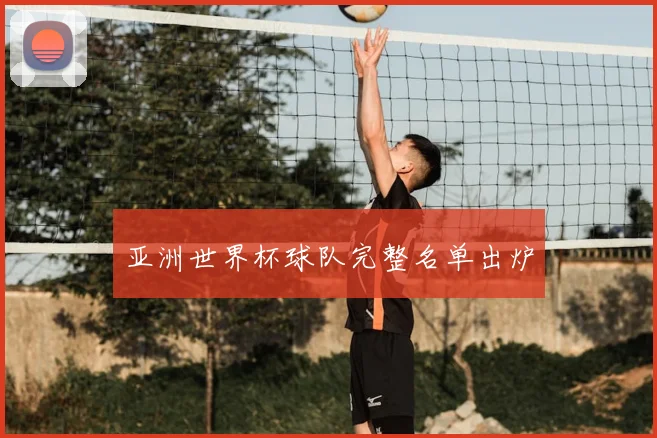 亚洲世界杯球队完整名单出炉