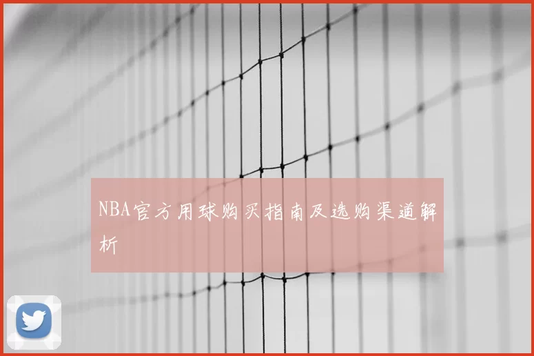NBA官方用球购买指南及选购渠道解析