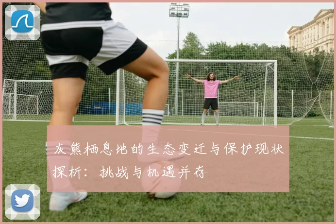 灰熊栖息地的生态变迁与保护现状探析：挑战与机遇并存