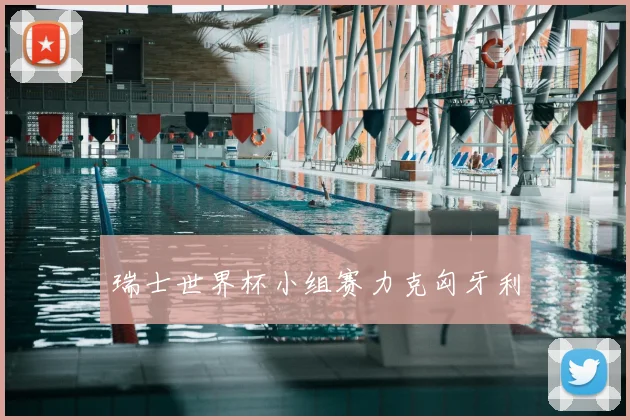 瑞士世界杯小组赛力克匈牙利