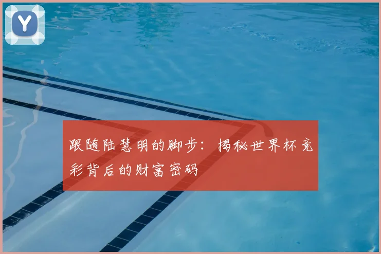 跟随陆慧明的脚步：揭秘世界杯竞彩背后的财富密码