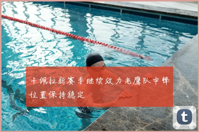 卡佩拉新赛季继续效力老鹰队中锋位置保持稳定