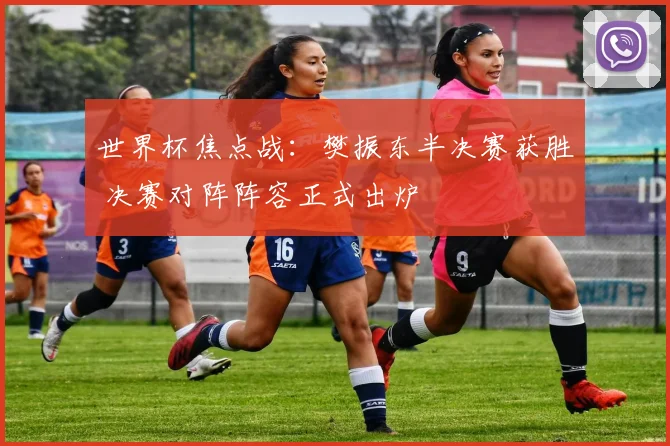 世界杯焦点战:樊振东半决赛获胜 决赛对阵阵容正式出炉