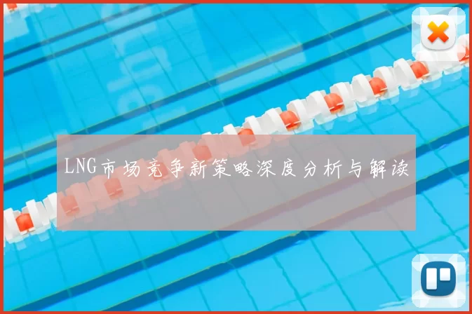 LNG市场竞争新策略深度分析与解读