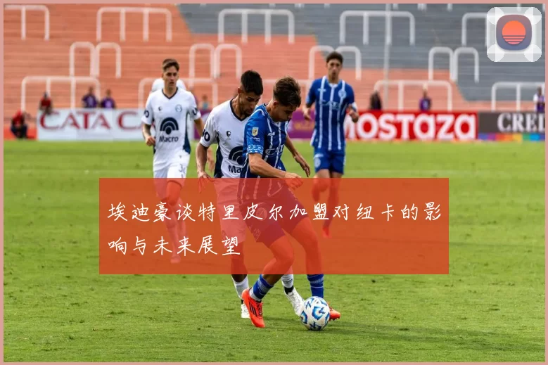 埃迪豪谈特里皮尔加盟对纽卡的影响与未来展望