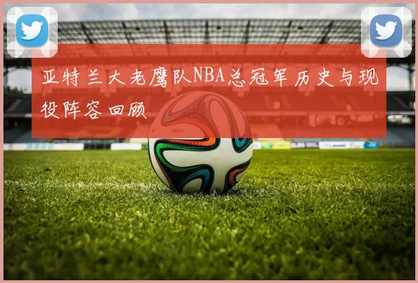 亚特兰大老鹰队NBA总冠军历史与现役阵容回顾