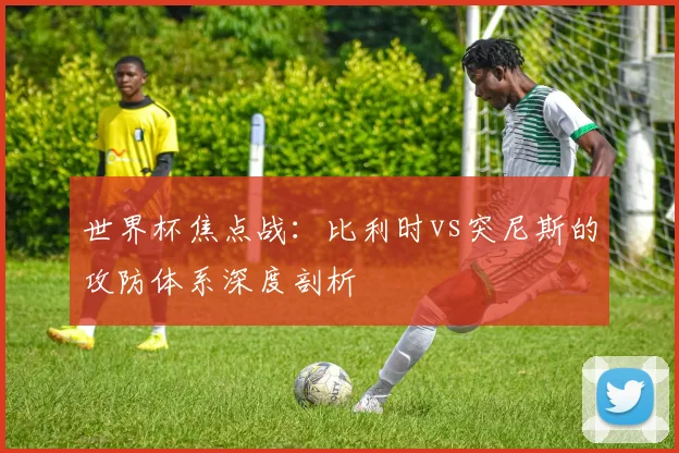 世界杯焦点战:比利时vs突尼斯的攻防体系深度剖析