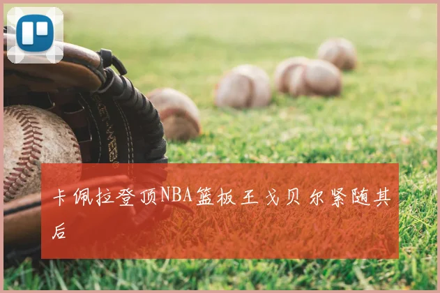 卡佩拉登顶NBA篮板王戈贝尔紧随其后