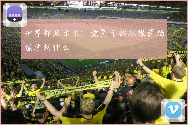 世界杯启示录:党员干部从绿茵场能学到什么