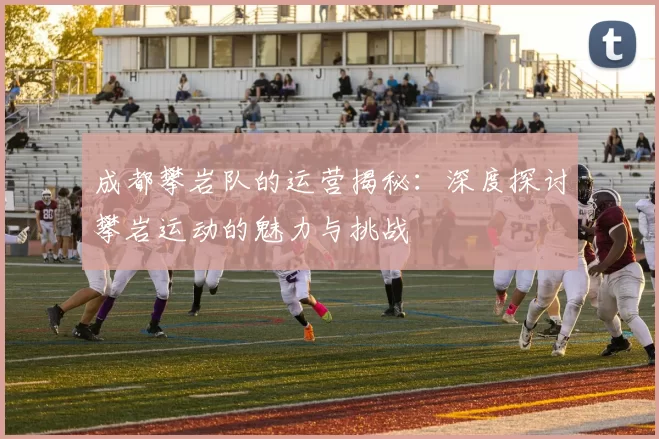 成都攀岩队的运营揭秘：深度探讨攀岩运动的魅力与挑战