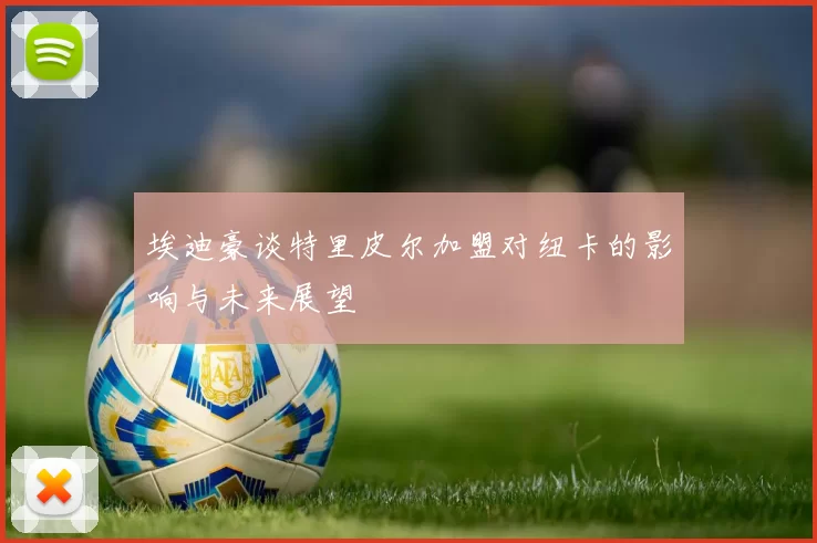 埃迪豪谈特里皮尔加盟对纽卡的影响与未来展望
