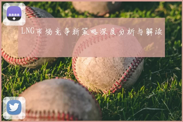 LNG市场竞争新策略深度分析与解读